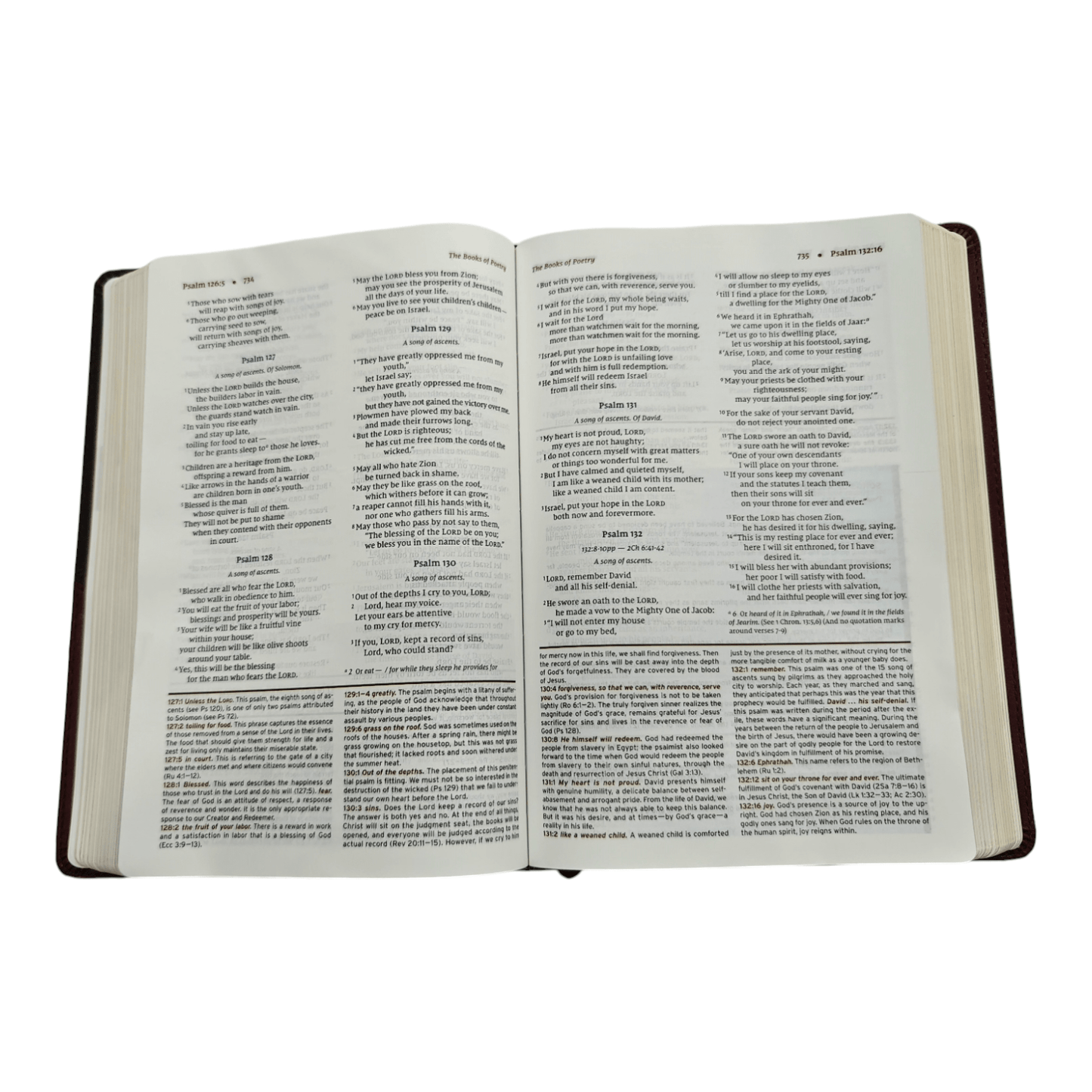 NIV Halley's Study Bible: New International Version with Study Notes, Maps, and Historical Insights, Hardcover