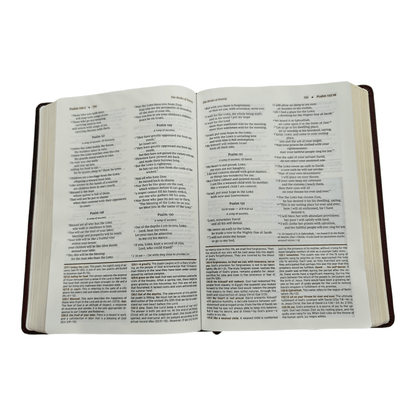 NIV Halley's Study Bible: New International Version with Study Notes, Maps, and Historical Insights, Hardcover