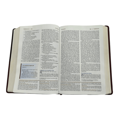 NIV Halley's Study Bible: New International Version with Study Notes, Maps, and Historical Insights, Hardcover