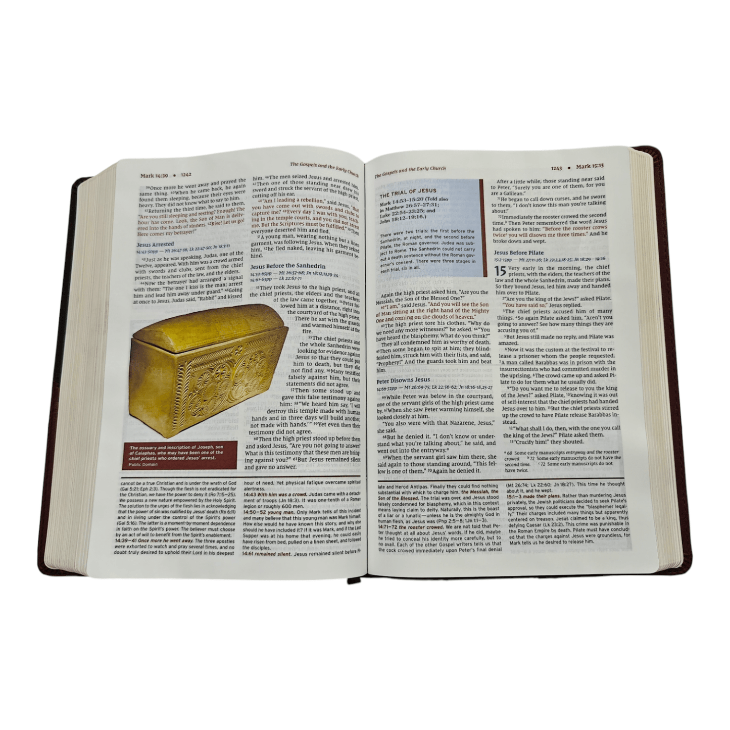 NIV Halley's Study Bible: New International Version with Study Notes, Maps, and Historical Insights, Hardcover