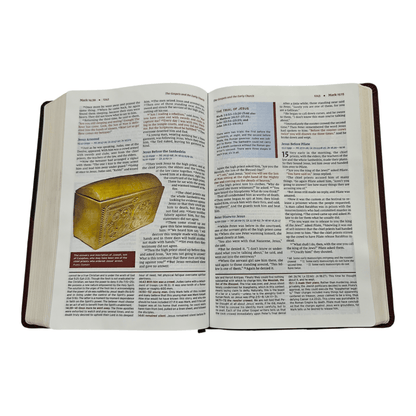 NIV Halley's Study Bible: New International Version with Study Notes, Maps, and Historical Insights, Hardcover