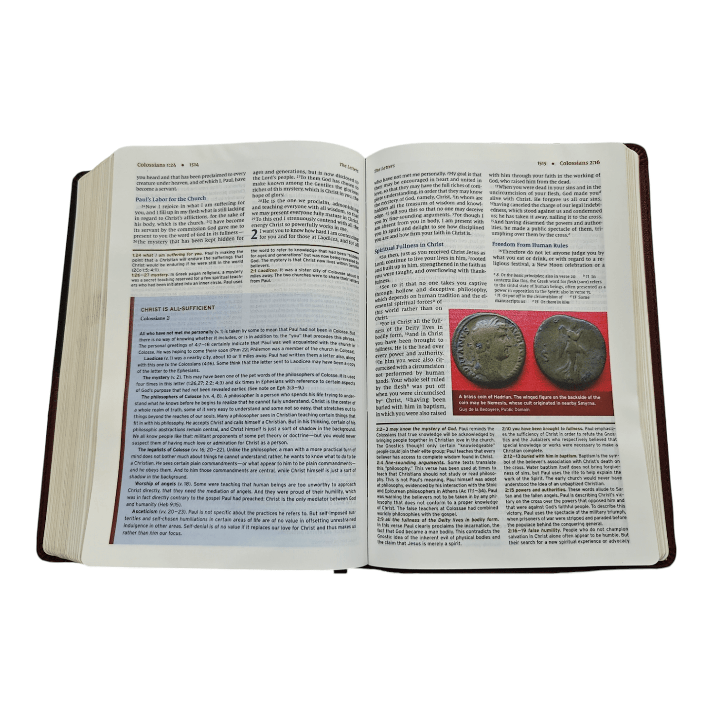 NIV Halley's Study Bible: New International Version with Study Notes, Maps, and Historical Insights, Hardcover
