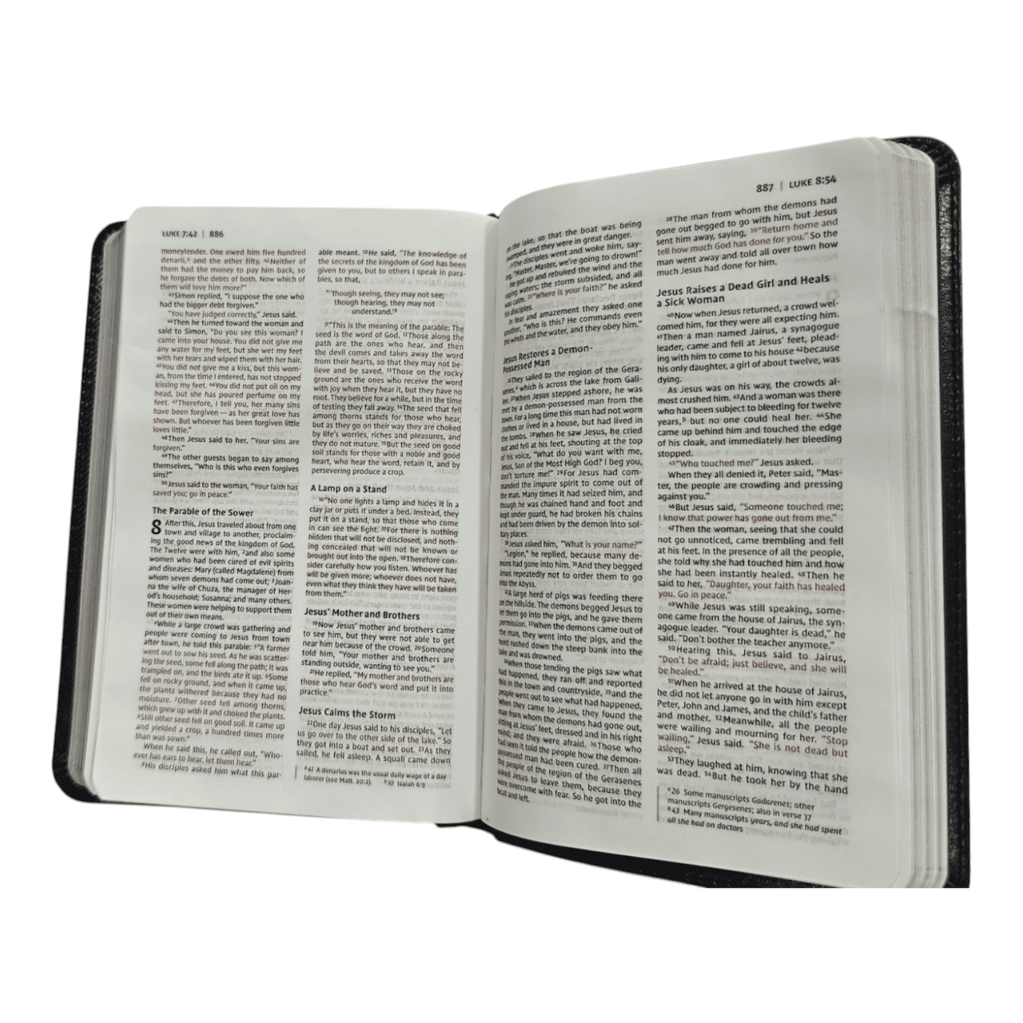 NIV Thinline Bible Compact: New International Version, Portable Softcover, Black