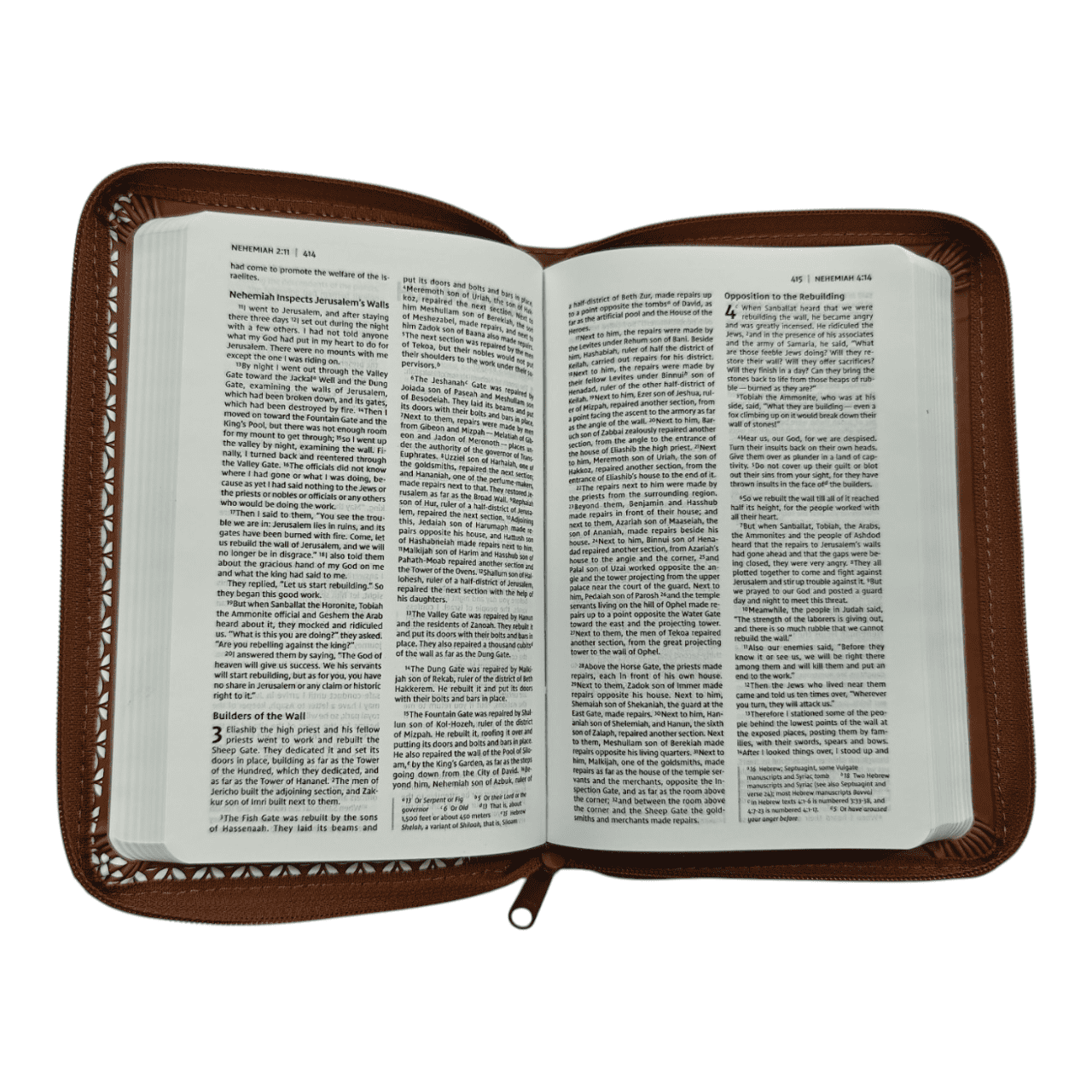 NIV Thinline Bible Compact: New International Version, Portable Softcover, Brow