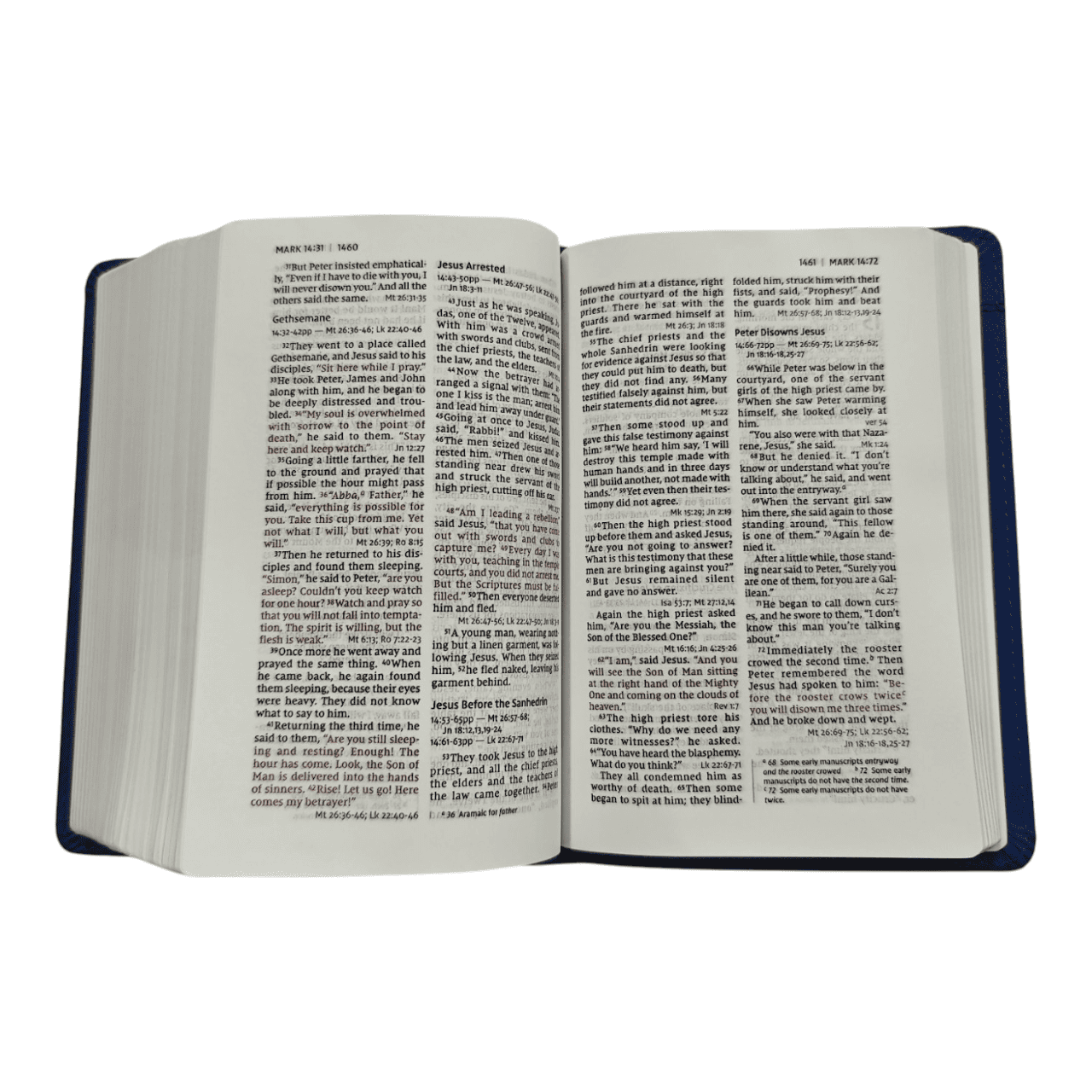 NIV Compact Reference Bible: New International Version with Cross-References and Concordance, Softcover, Black