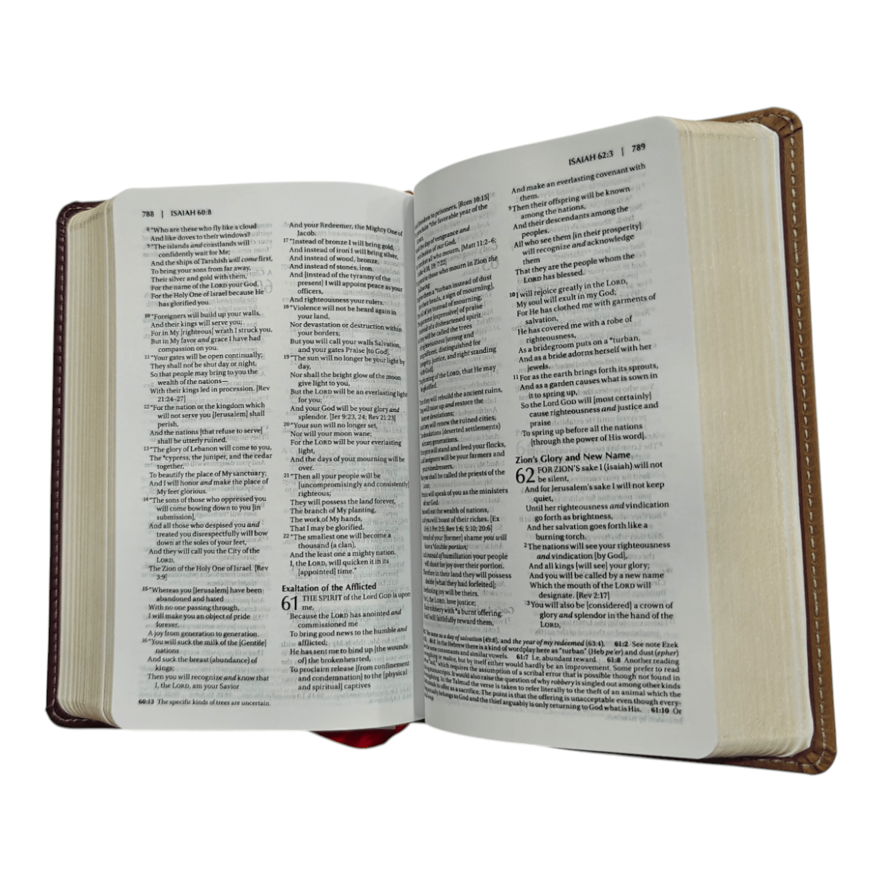 Amplified Holy Bible Compact: Enhanced Scripture with Explanatory Notes and Expanded Meanings, Hardcover