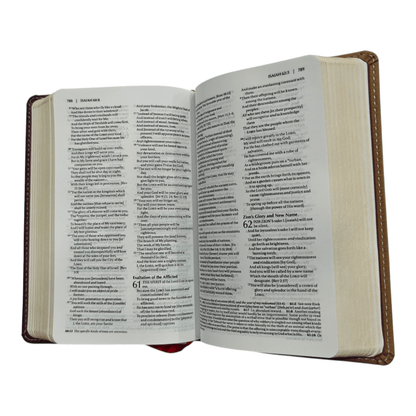 Amplified Holy Bible Compact: Enhanced Scripture with Explanatory Notes and Expanded Meanings, Hardcover
