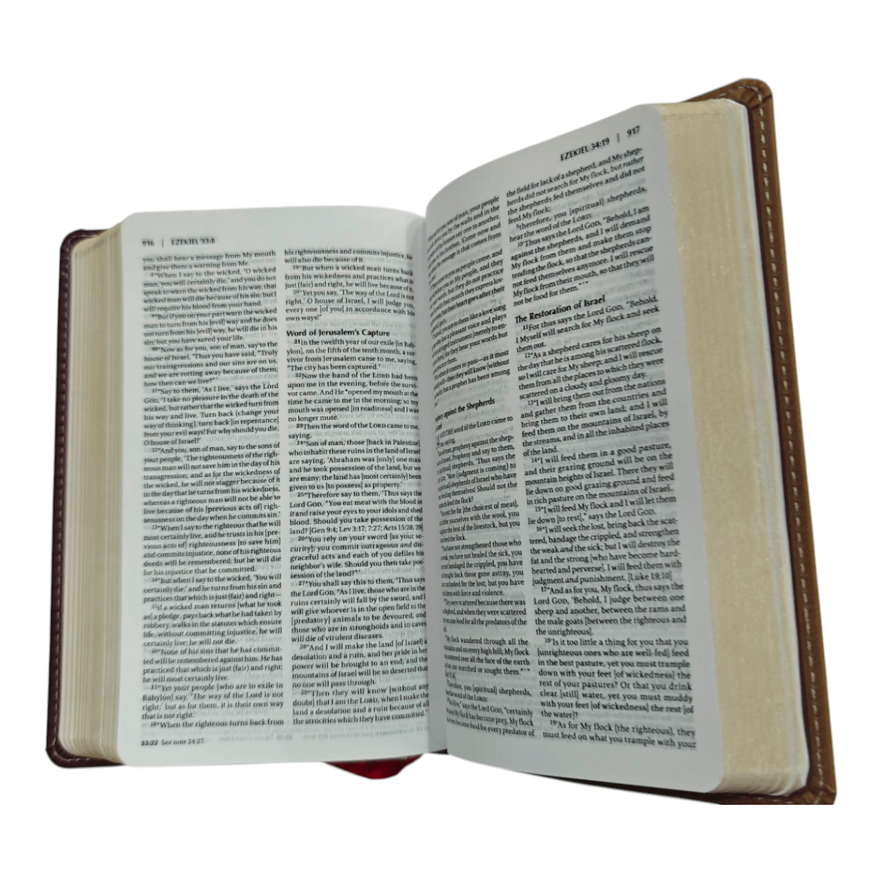 Amplified Holy Bible Compact: Enhanced Scripture with Explanatory Notes and Expanded Meanings, Hardcover