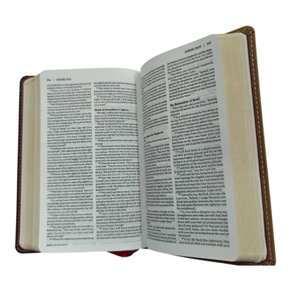 Amplified Holy Bible Compact: Enhanced Scripture with Explanatory Notes and Expanded Meanings, Hardcover