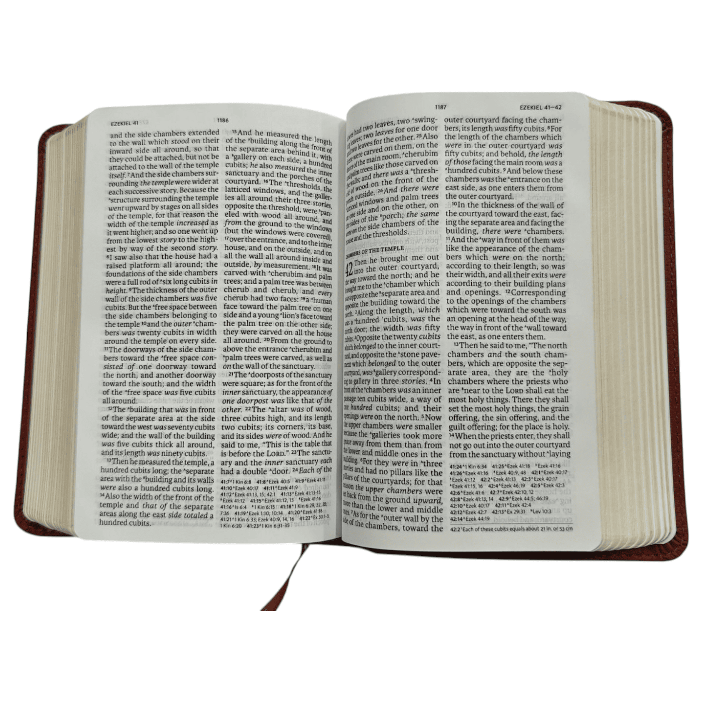 NASB Large Print Compact Reference Bible, Burnt Sienna LeatherTouch, Red Letter Edition - Portable New American Standard Version Holy Bible with Cross-References and Maps (ISBN: 9781087765709)