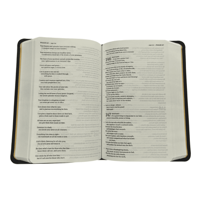 The Message Compact Bible, Hardcover: A Contemporary Reading Bible in a Portable Size, Perfect for Everyday Carry