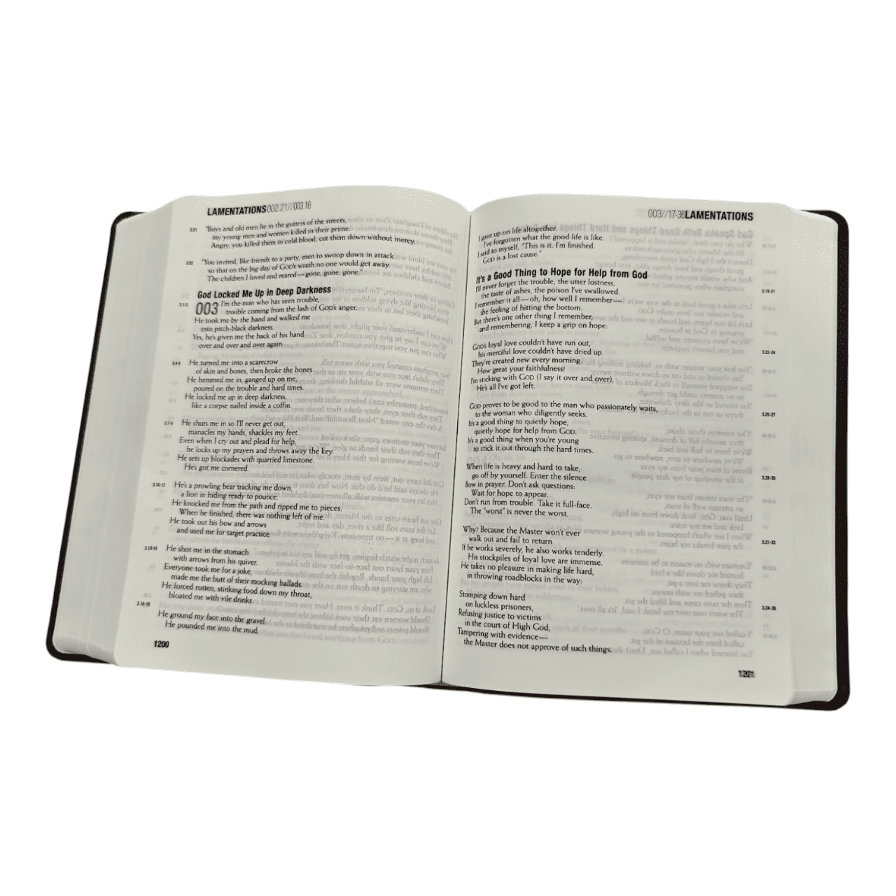 The Message Remix: The Bible in Contemporary Language, Paperback (Updated Edition)