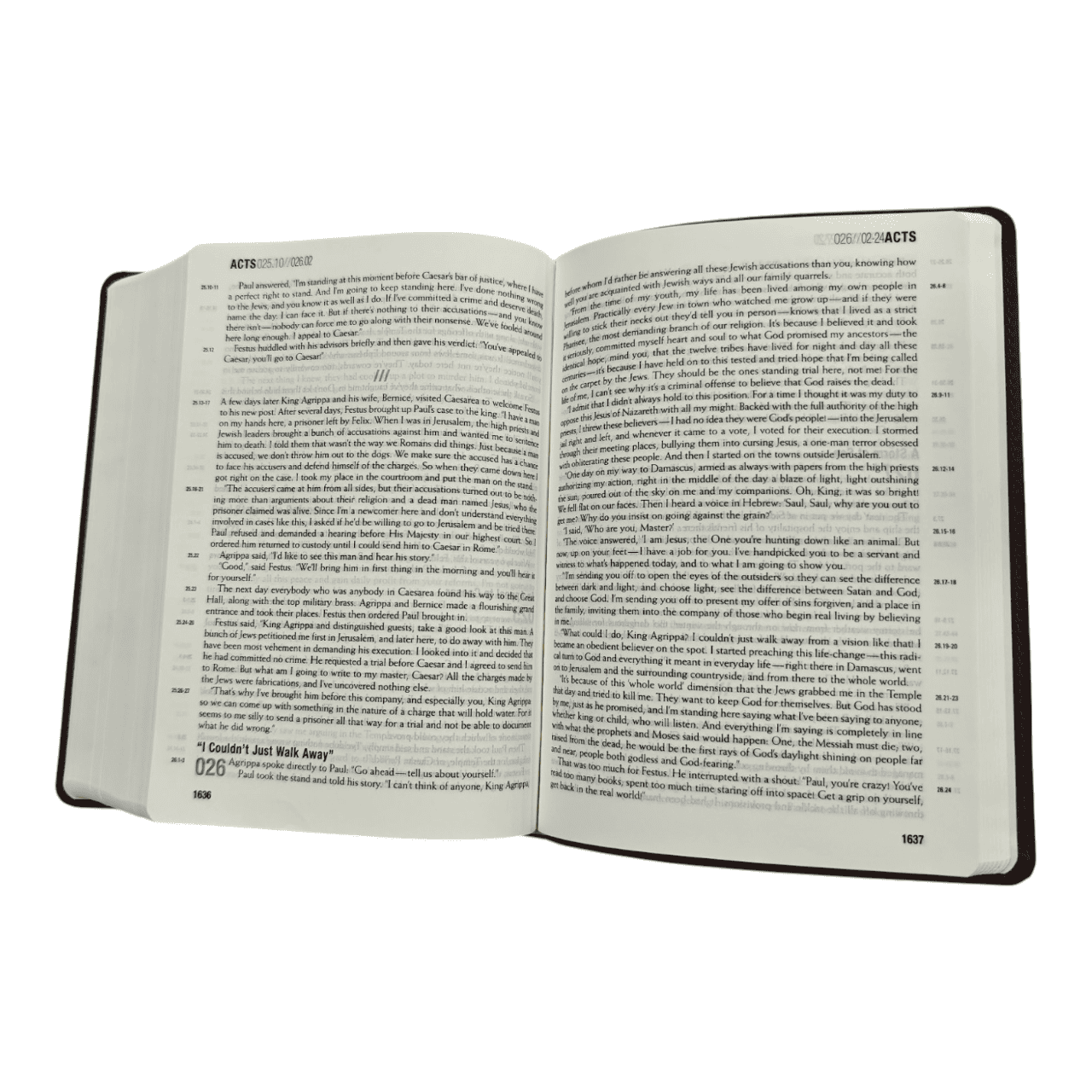 The Message Remix: The Bible in Contemporary Language, Paperback (Updated Edition)